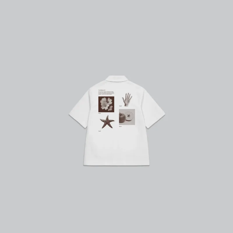 Research & Nature Camp Collar Shirt from the OpenAI Merch Museum